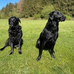 Profile Picture of Gareth Richards (@gareth_richards) on Instagram