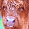 Profile Picture of Craig Warren (@@craigwarren233) on Tiktok