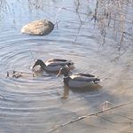 Profile Picture of David Burgess (@david.burgess03) on Instagram