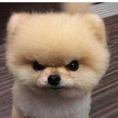 Profile Picture of Nolan (@@AbrahamLinkedN) on Twitter