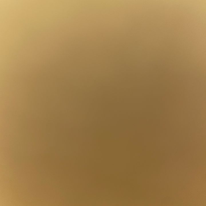 Profile Picture of Peter de Haan (@peterdehaan45) on Tiktok