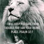 Profile Picture of Lori Whitaker Souza (@Lori-Whitaker-Souza) on Facebook