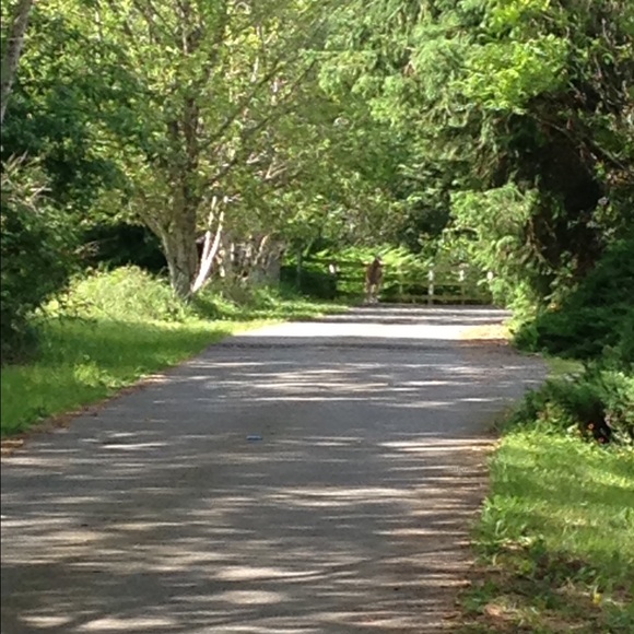 Sandra Bentler - Poshmark Profile Picture of Sandra Bentler (@jennifergreen3) on Poshmark