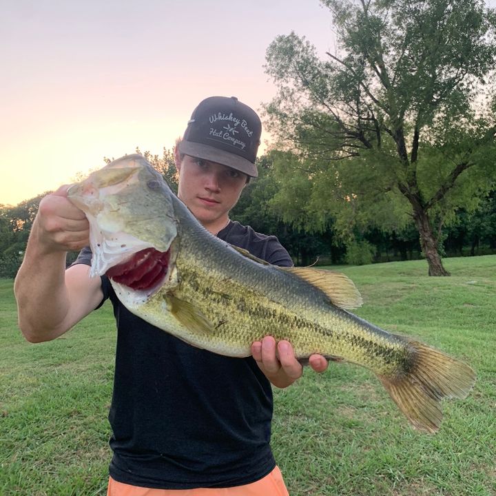 Profile Picture of Joseph Giddens (@joseph71giddens) on Tiktok