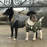 Profile Picture of Monster & Five Jardine 🐾 (@monsterplusfive) on Instagram