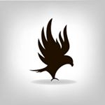 Profile Picture of Black Eagle (@peterng16) on Instagram