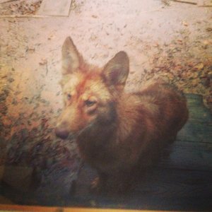 Profile Picture of Jeff Harvill (@jwharvil) on Myspace