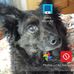 Profile Picture of Joyce Kartychak (@joyce.kartychak) on Facebook