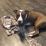 Profile Picture of Peggy😏 (@peggysofiajimenez) on Instagram