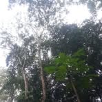 Profile Picture of Jane Gel (@jane.gel.2025) on Facebook