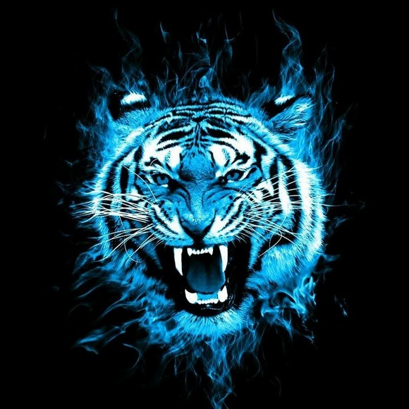 Profile Picture of Mage Kinggames (@magekinggames) on Poshmark