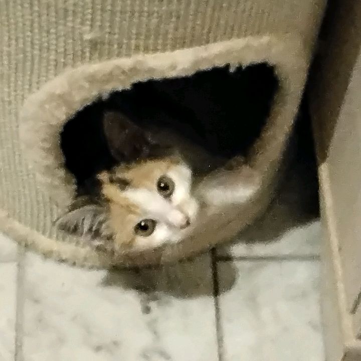 Profile Picture of Dustin Klauner (@dustin.klauner) on Tiktok