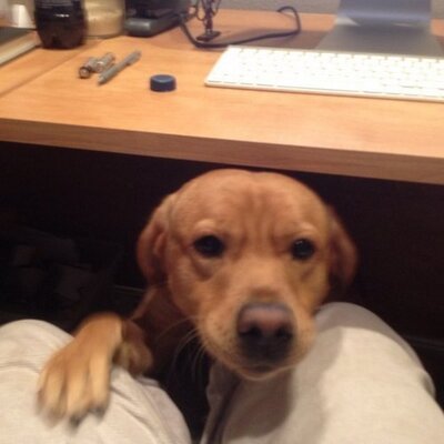 Kris Garner - Twitter Profile Picture of Kris Garner (@osumisskris) on Twitter