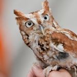 Logan Eller - Instagram Profile Picture of Logan Eller (@logan.eller) on Instagram