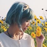 Profile Picture of honeycomb gleam🌼微光蜂舍🍯🐝 (@honeycombgleam) on Instagram