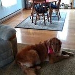 Profile Picture of Rich Marshall (@rich4352) on Instagram