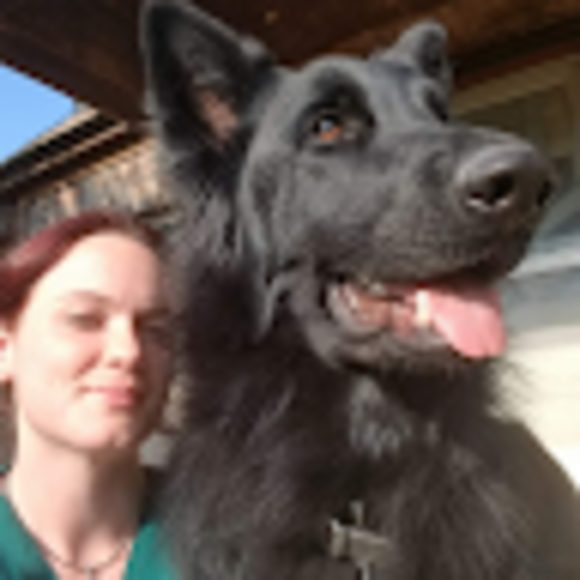 Profile Picture of Michelle Colbert (@shellio87) on Poshmark