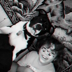 Profile Picture of Jesse Kibler (@jesse.kibler) on Tiktok