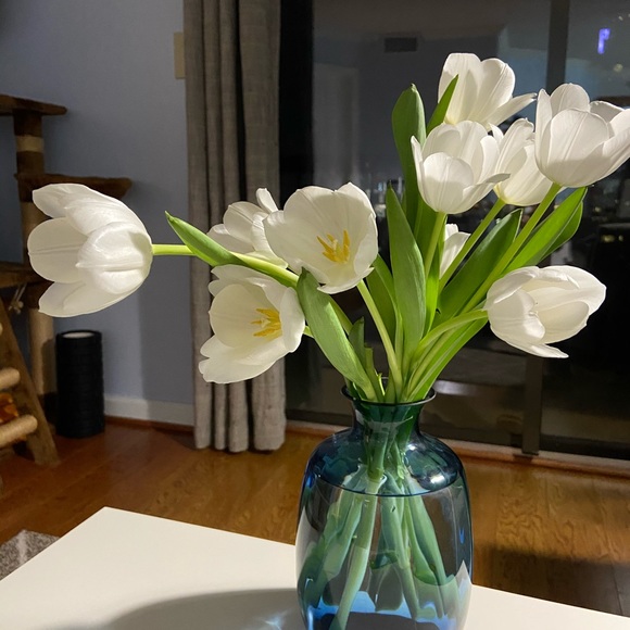 Profile Picture of Feng Liu (@feng_liu) on Poshmark