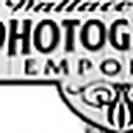Profile Picture of Grant And Holly (@wallace street photos) on Flickr