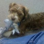 Michael Ernest Zellner - Instagram Profile Picture of Michael Ernest Zellner (@michael.zellner7) on Instagram