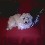 Profile Picture of Mark Mcburney (@mcburneymark) on Instagram