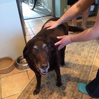 Profile Picture of Joanne Coston (@Joanne-Coston) on Facebook