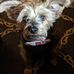 Profile Picture of Kelli Sampson (@kelli.sampson.56) on Facebook