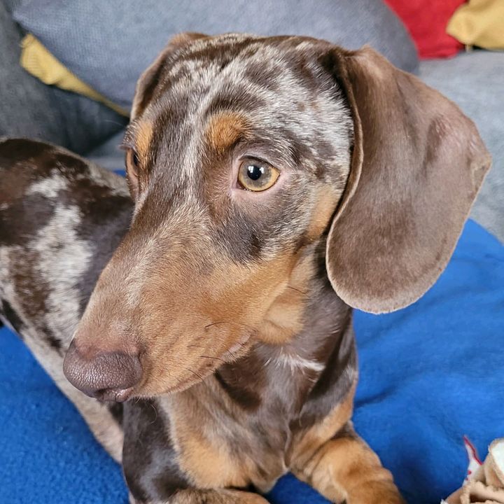 Profile Picture of Adam Pinner (@adampinner) on Tiktok