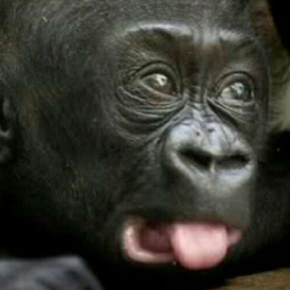 Profile Picture of Demetrius Coleman (@dcole91) on Poshmark