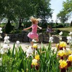 Profile Picture of Kim Wolke (@wanderlustrous24) on Instagram