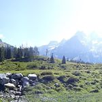 Profile Picture of Benjamin Chamberlain (@paperjewel78792) on Instagram