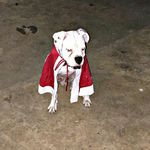 Profile Picture of Brandon Monforte (@brandon_monforte) on Instagram