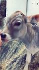 Profile Picture of   Jonathan Lagacé483... (@john00716) on Tiktok