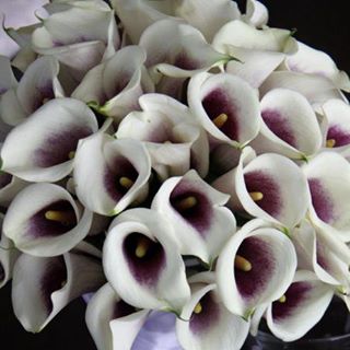 Profile Picture of Jordan Peeks (@jordan.peeks.31) on Facebook