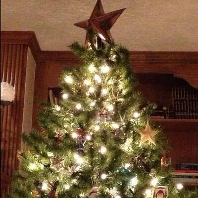 Profile Picture of Dawn Timmerman (@DMTimmerman) on Twitter