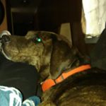 Profile Picture of Miley Davis (@miley__davis_) on Instagram