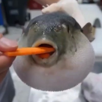 Profile Picture of Aidan McLoughlin (@AidanMcLoughl11) on Twitter