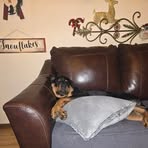 Profile Picture of John Vidito (@John-Vidito) on Facebook