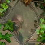 Profile Picture of Robert Dartt Webster (@bobwebster) on Instagram