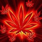 Profile Picture of Daniel Gerken (@daniel.gerken.733) on Instagram