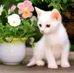 Profile Picture of Michel Jakubowski (@michel.jakubowski.39) on Facebook