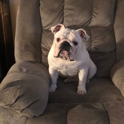 Profile Picture of Andrew Shuck (@shuck_andrew) on Twitter