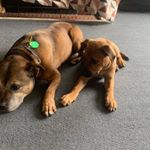 Profile Picture of Kate (@kate.finniee) on Instagram