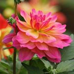 Profile Picture of Yola.95 (@yolanda.lara59) on Instagram