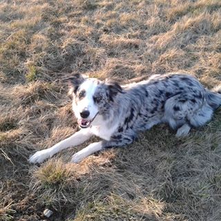 Hope Schneider - Facebook Profile Picture of Hope Schneider (@Hope-Schneider) on Facebook