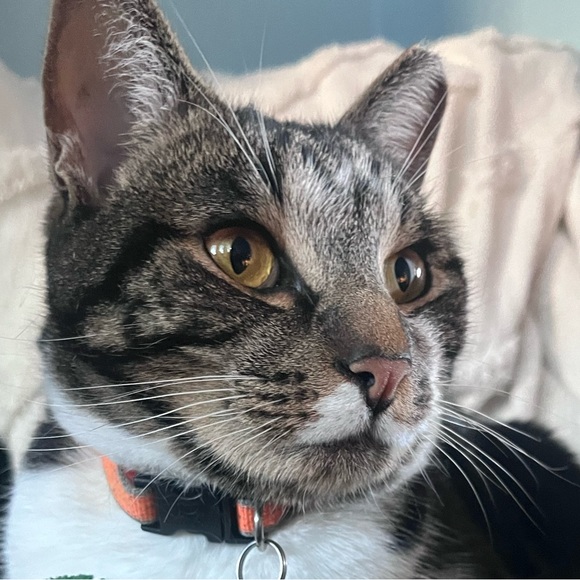 Profile Picture of Faye Warner (@fayepancake16) on Poshmark