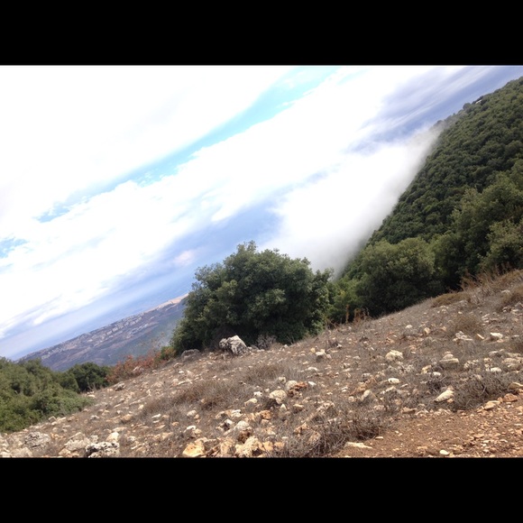 Profile Picture of Shadi Zarabi (@shadizarabi) on Poshmark