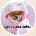 Profile Picture of Lucy Bleasdale❤️ (@adorbzzz_iconsx_) on Instagram