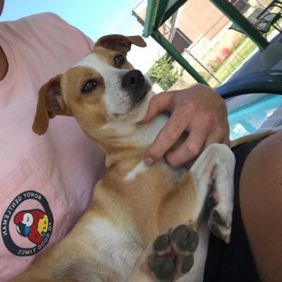 Profile Picture of Ben Balogh (@bbalogh161) on Twitter